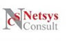 S.C. NETSYS CONSULT S.R.L.